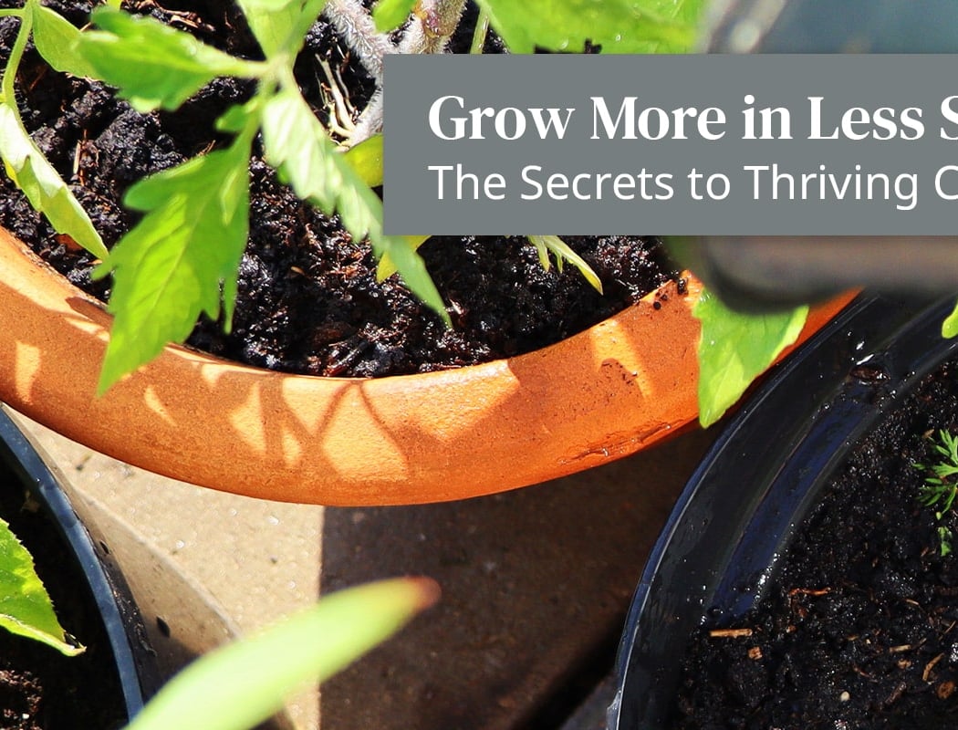 Container Gardening Class 1