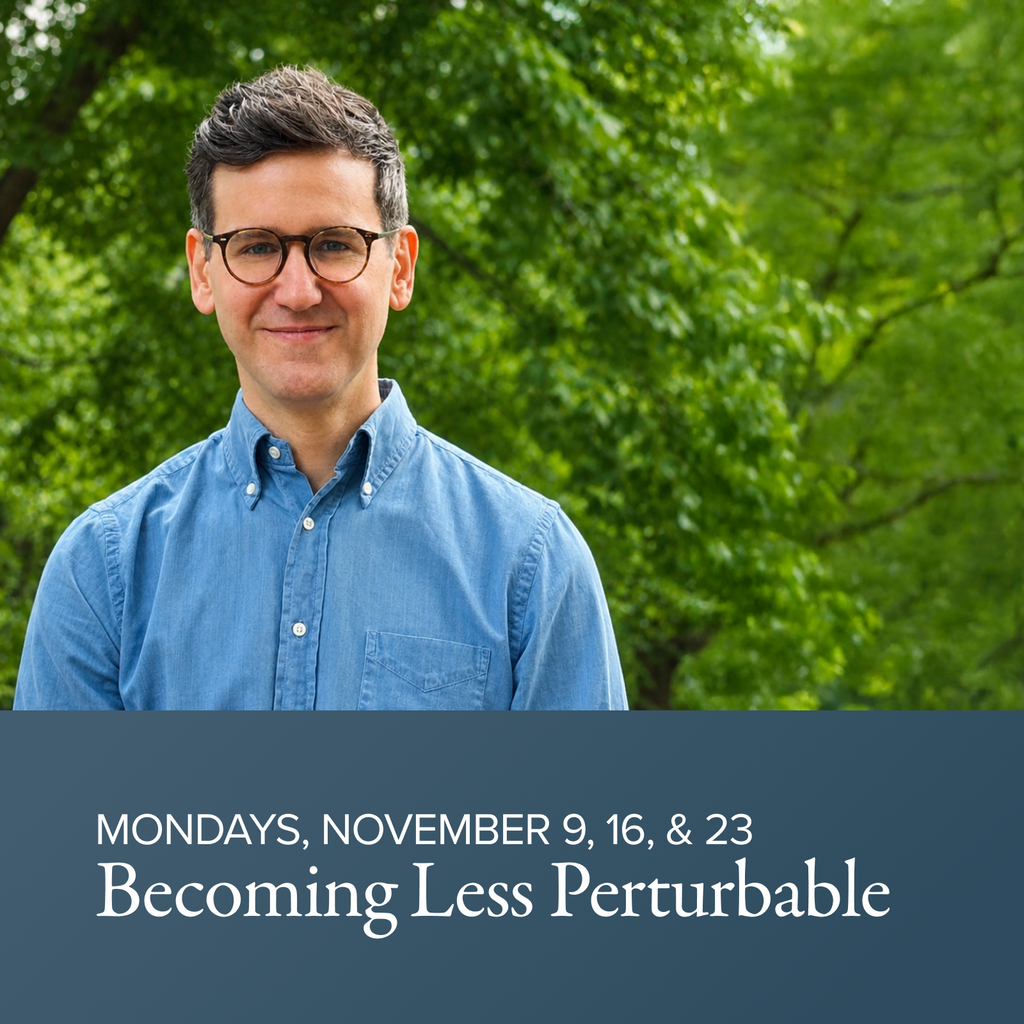 Becoming Less Perturbable Through Mindfulness | with Nick Shopa 1