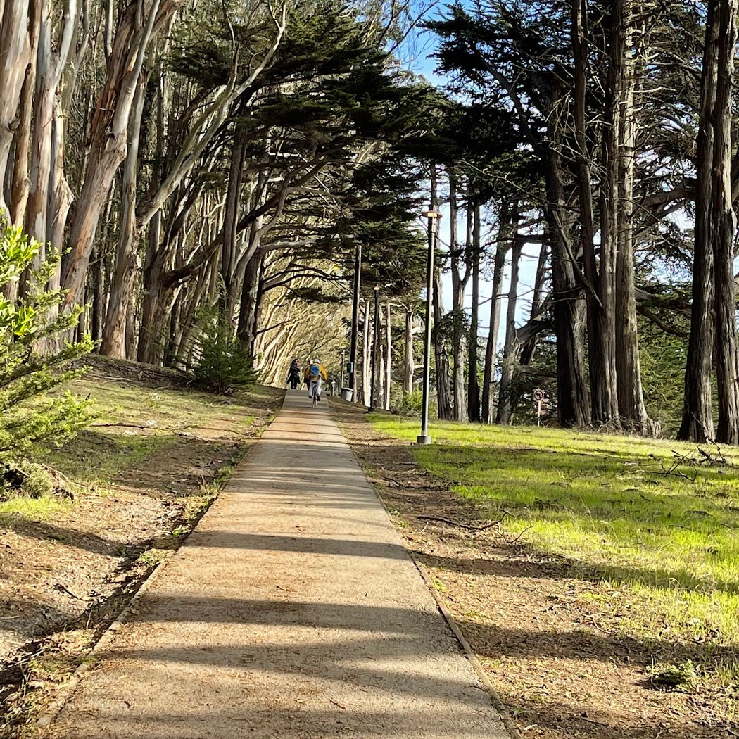 Lovers’ Lane Trail 3