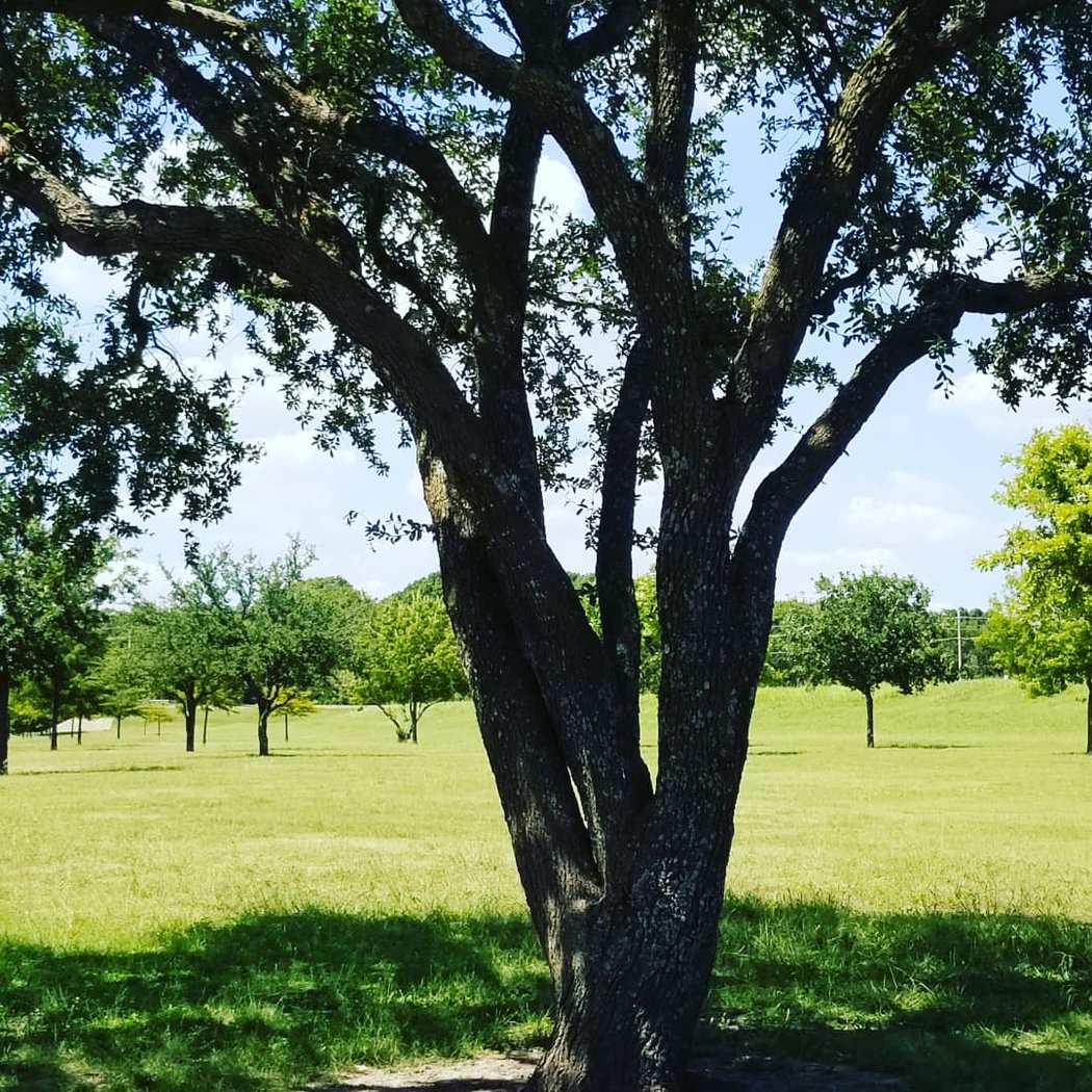 Spring Creek Greenbelt Cleanup 3