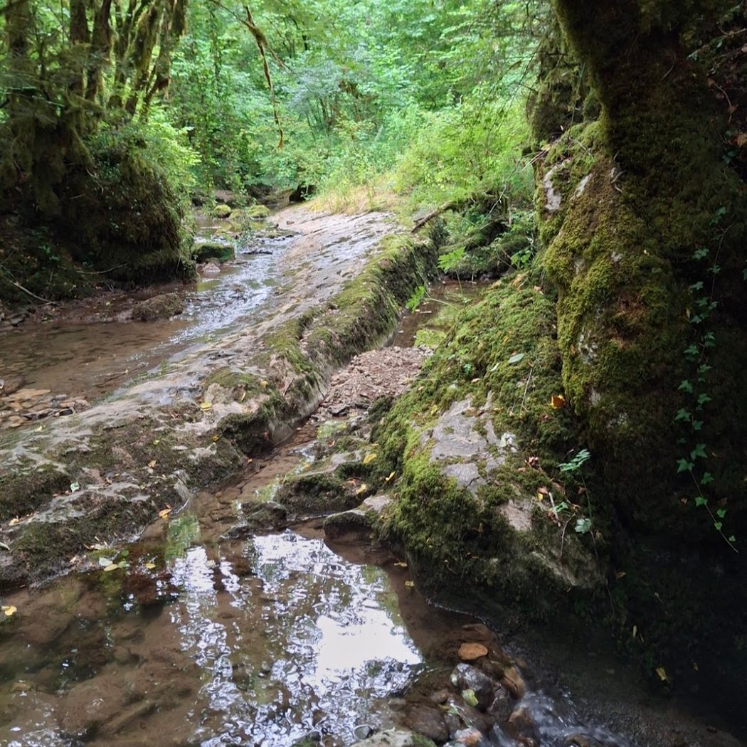 Le Todeur 3