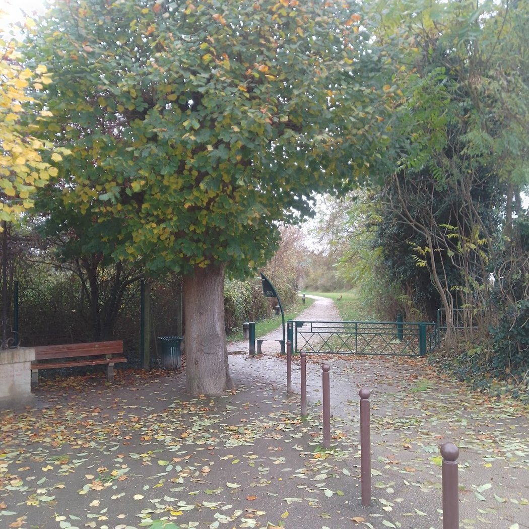 Sentier des Vins et Fromages (Yonne, Aube) 3