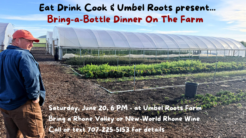 Bring A Bottle Dinner Party 1