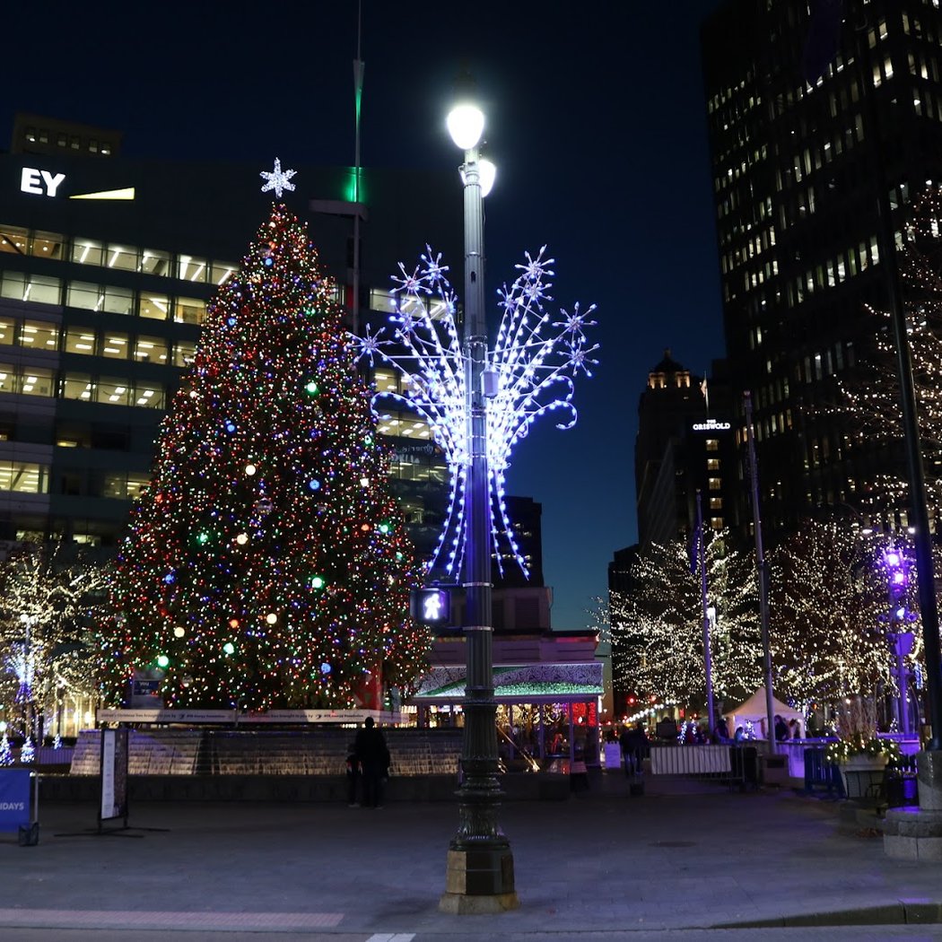 The Downtown Detroit Markets and Cadillac Lodge 5