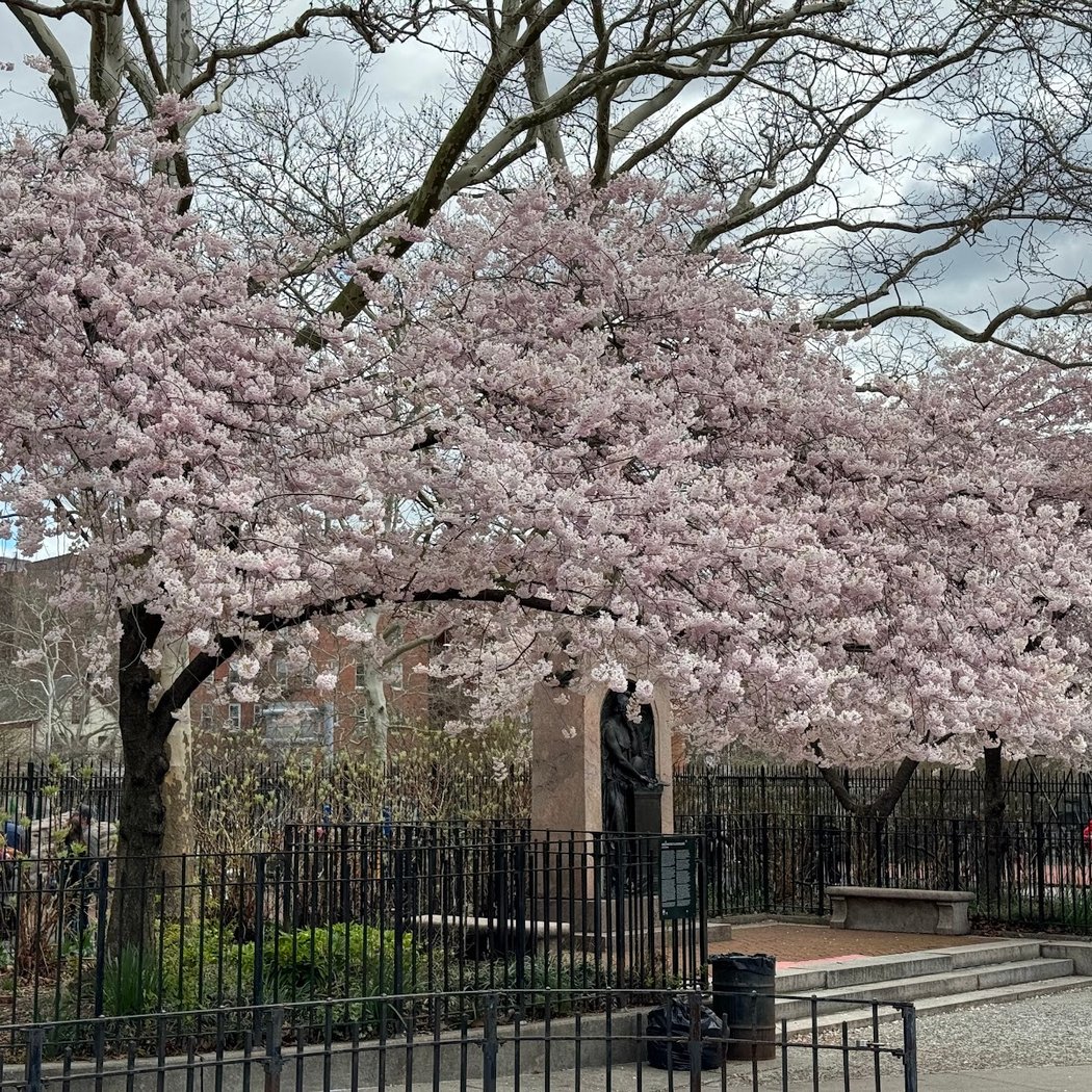 Greenwood Playground 1