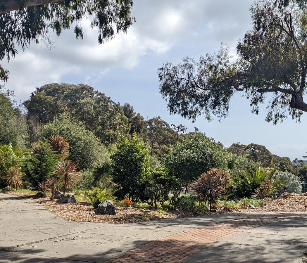 Adam Rogers Park 3