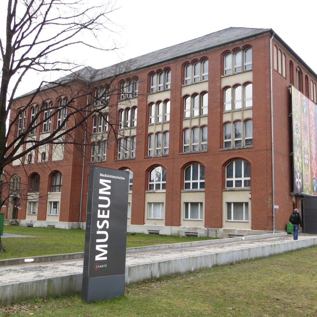 Berlin Museum of Medical History of the Charité 3