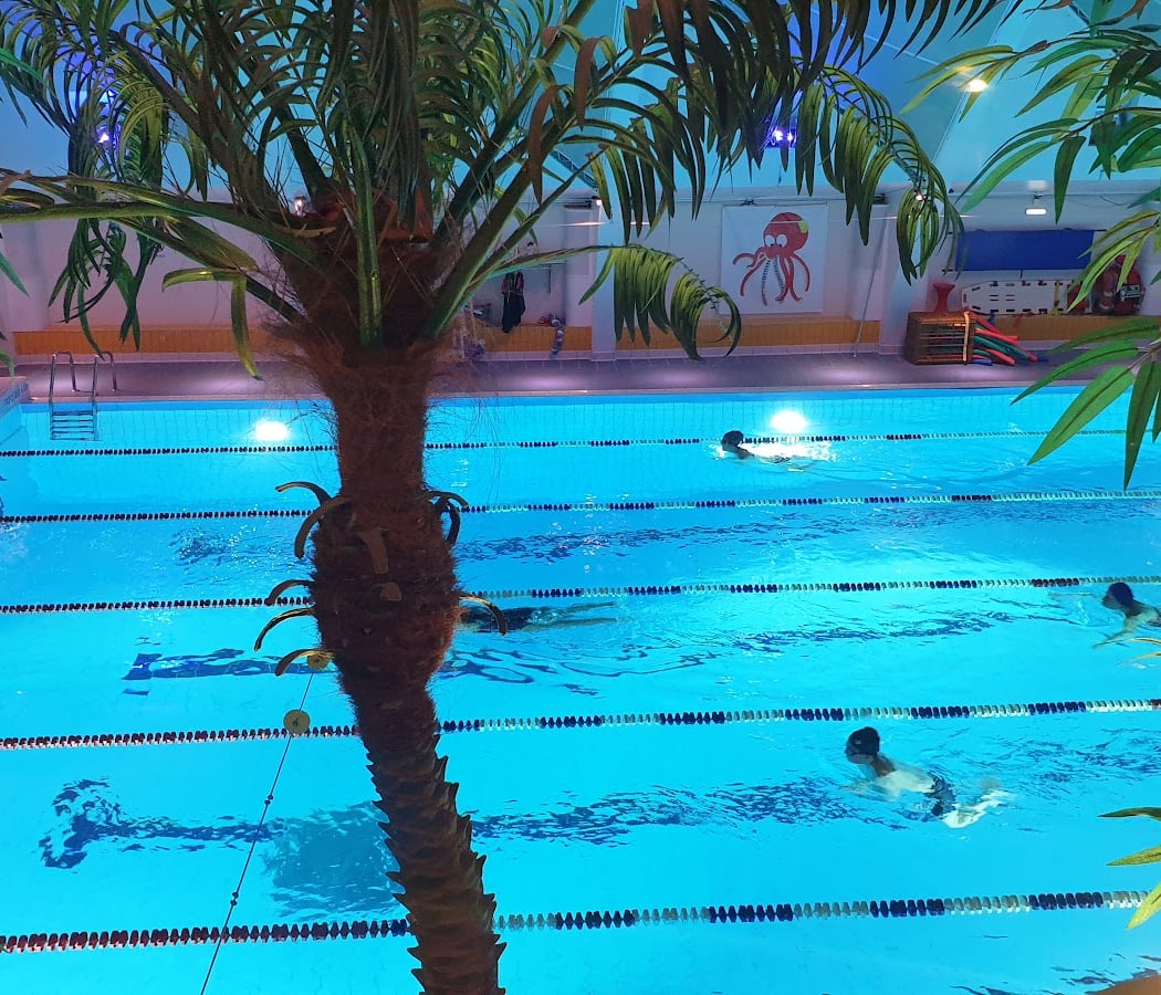 Piscine Robert Belvaux 3