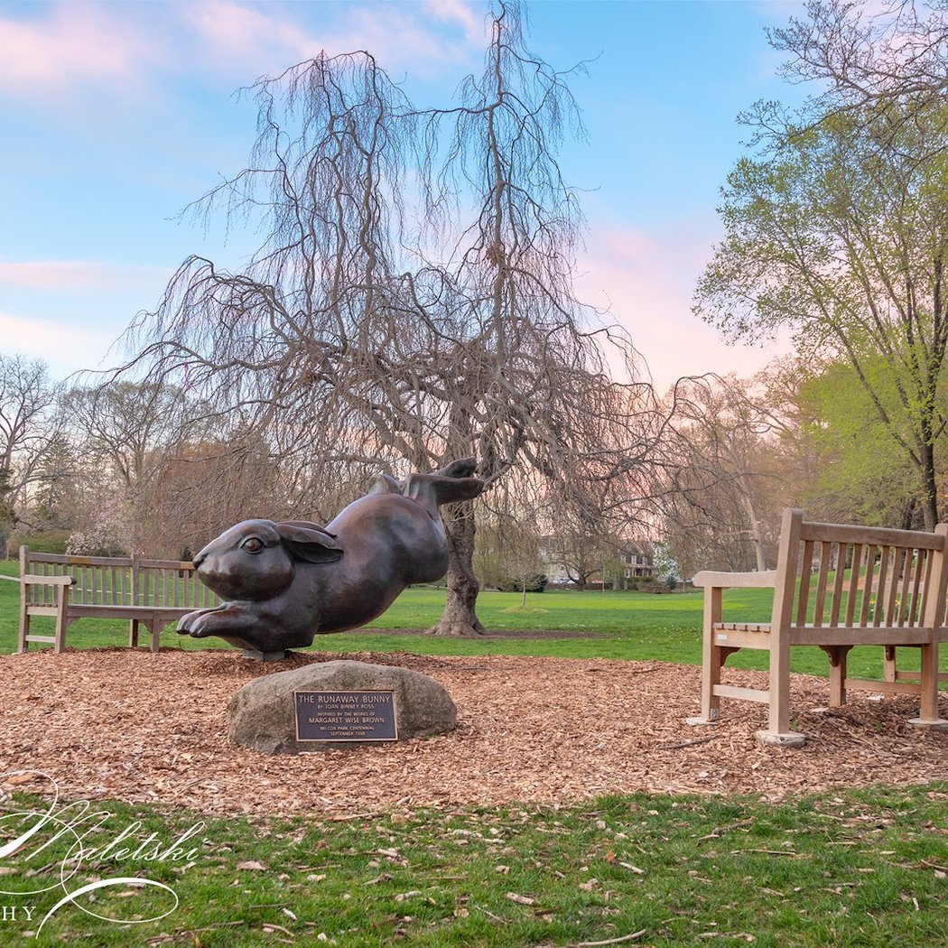 Wilcox Park 1