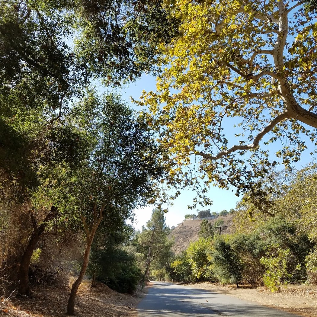 Franklin Canyon Park, Mountains Recreation & Conservation Authority 2
