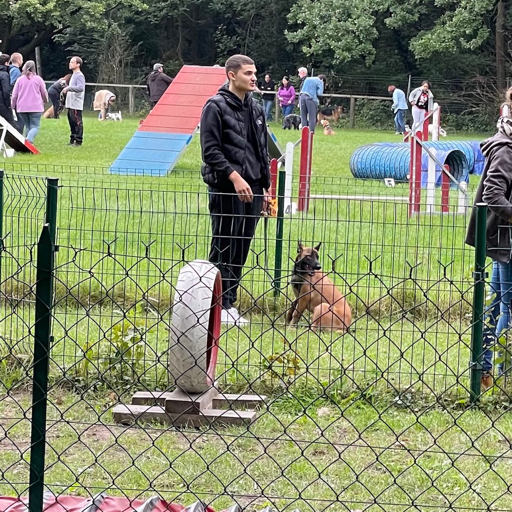 Concours d’agility 3