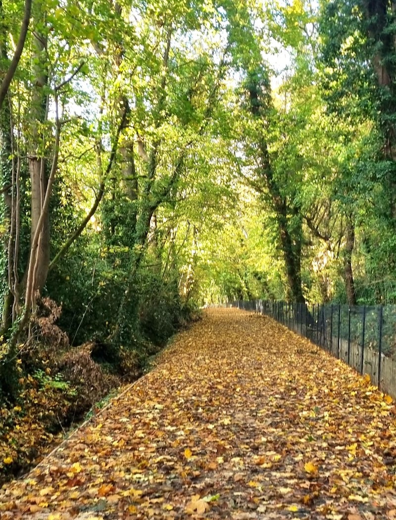 Parc des Cèdres 1
