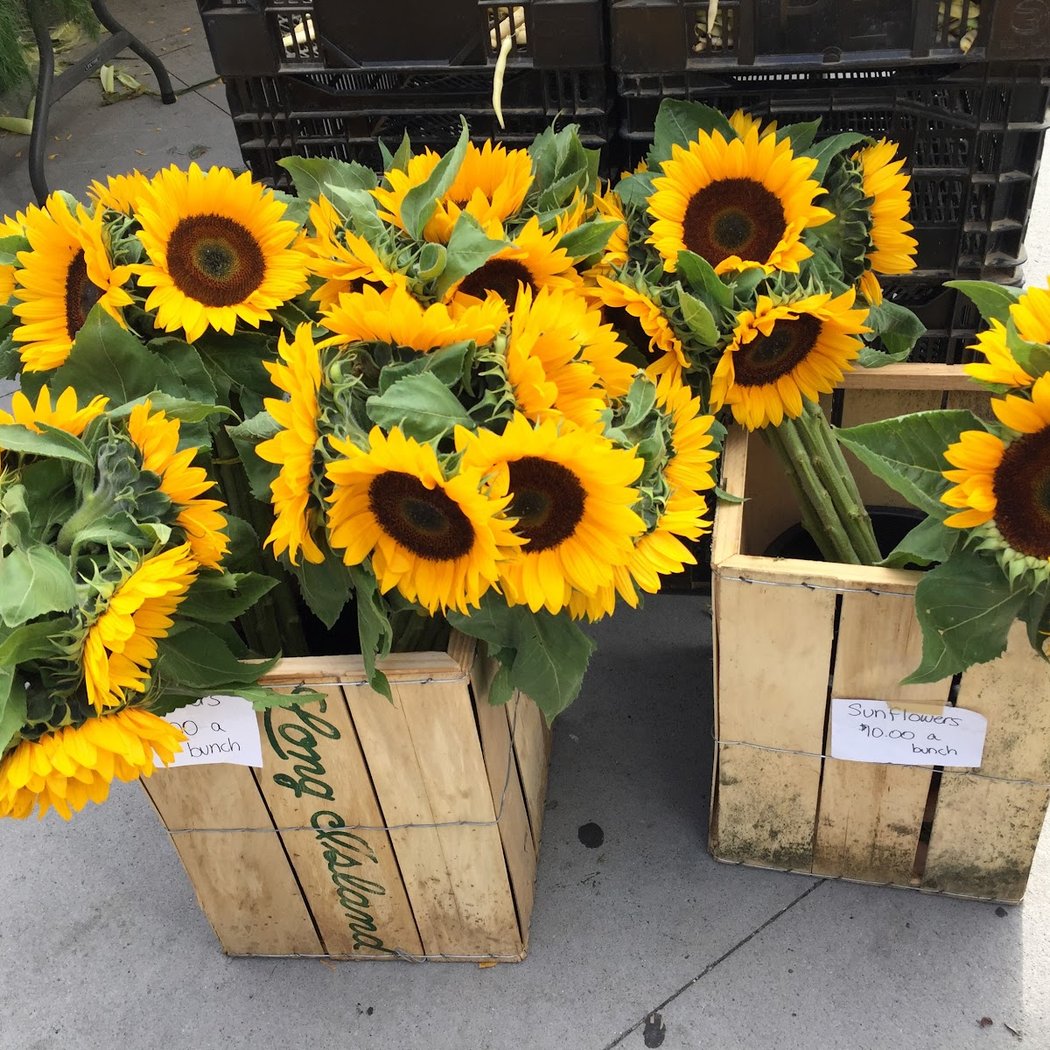 Bronx Winter Market 1