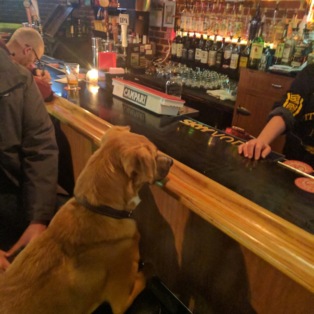 Pool and Sports Night at Pitt's Pub