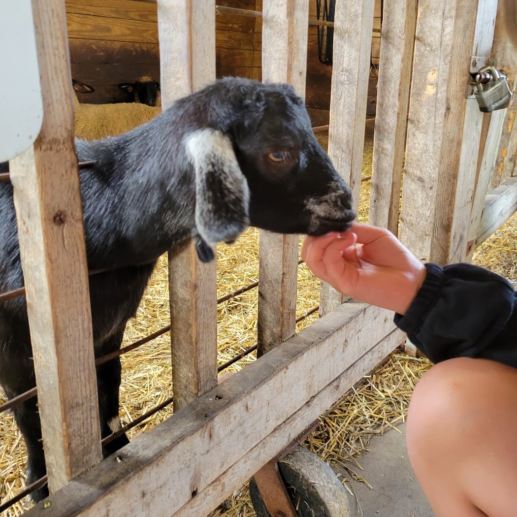 Wolcott Mill Farm Center 1