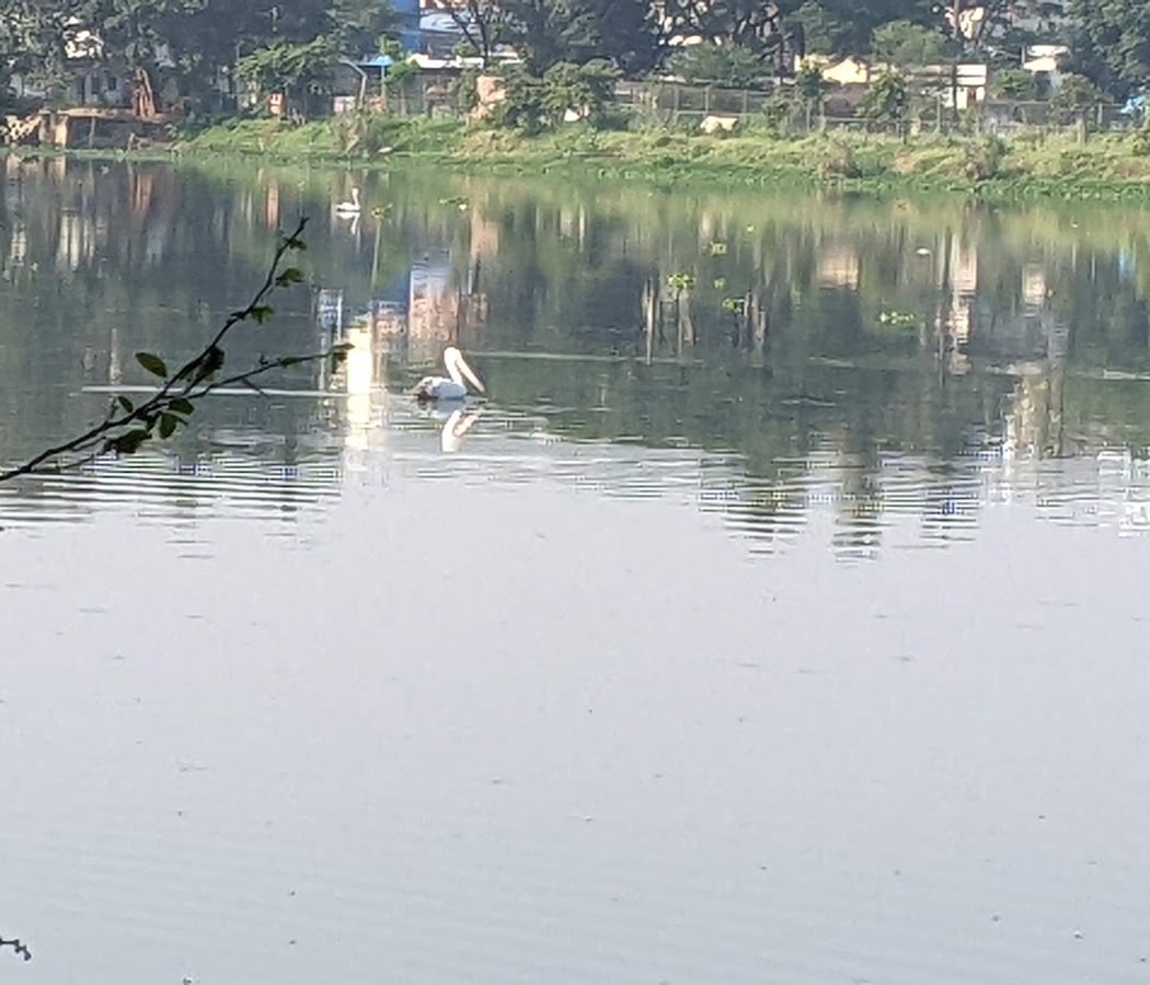Rachenahalli Lake 3