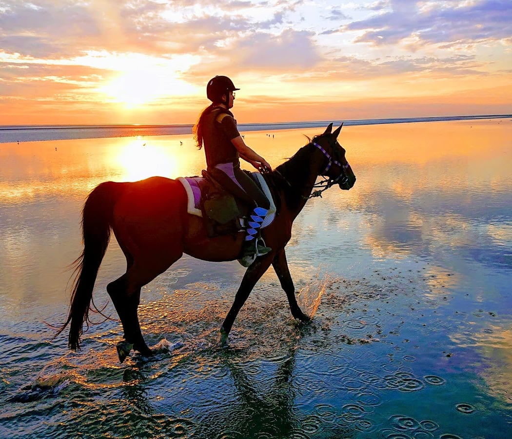 Cheval Plaisir Mont Saint Michel 1