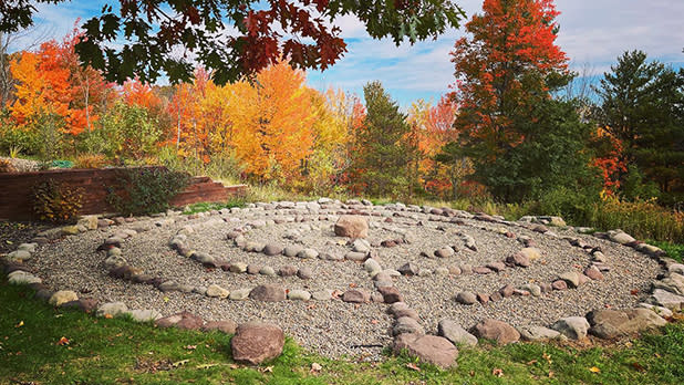 Landis Arboretum 1