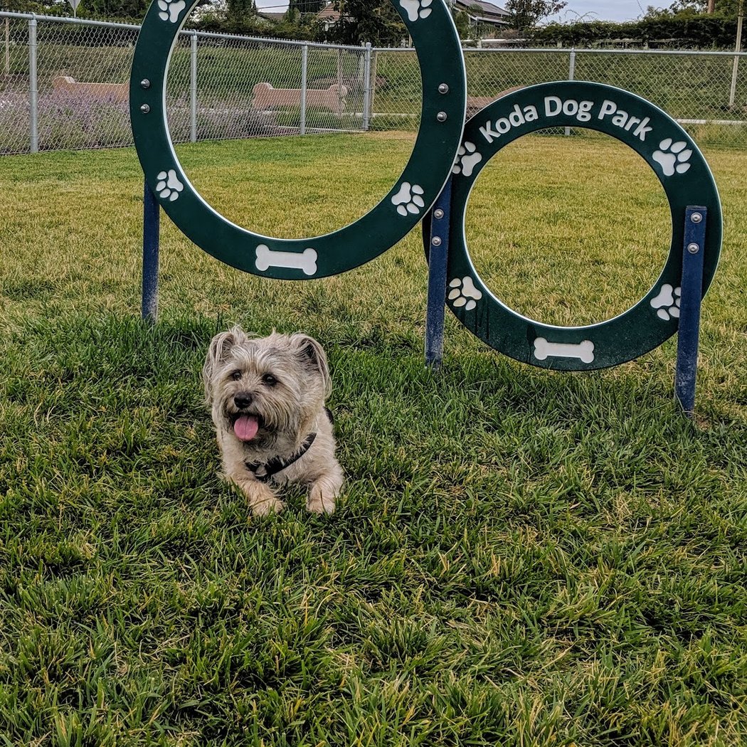 Koda Dog Park 1