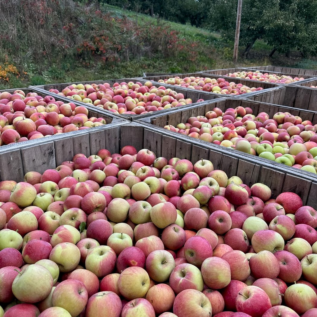Caradonna Farms 3
