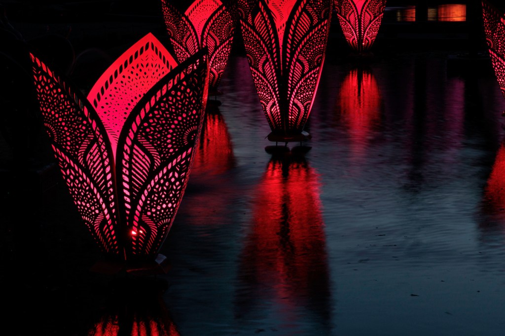 Patterns in Nature: LightForm 4