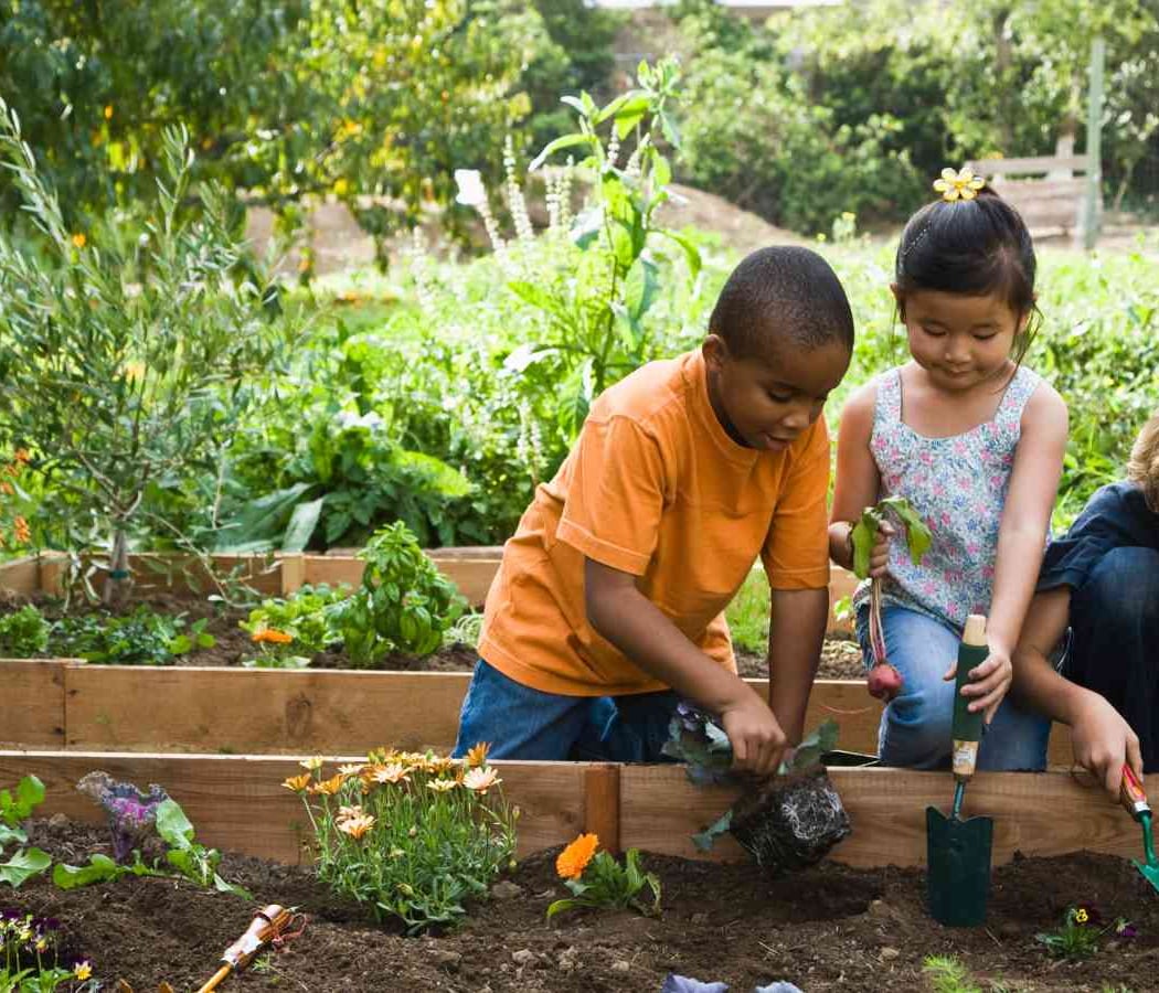 Curious Kids: Plant Planet 1