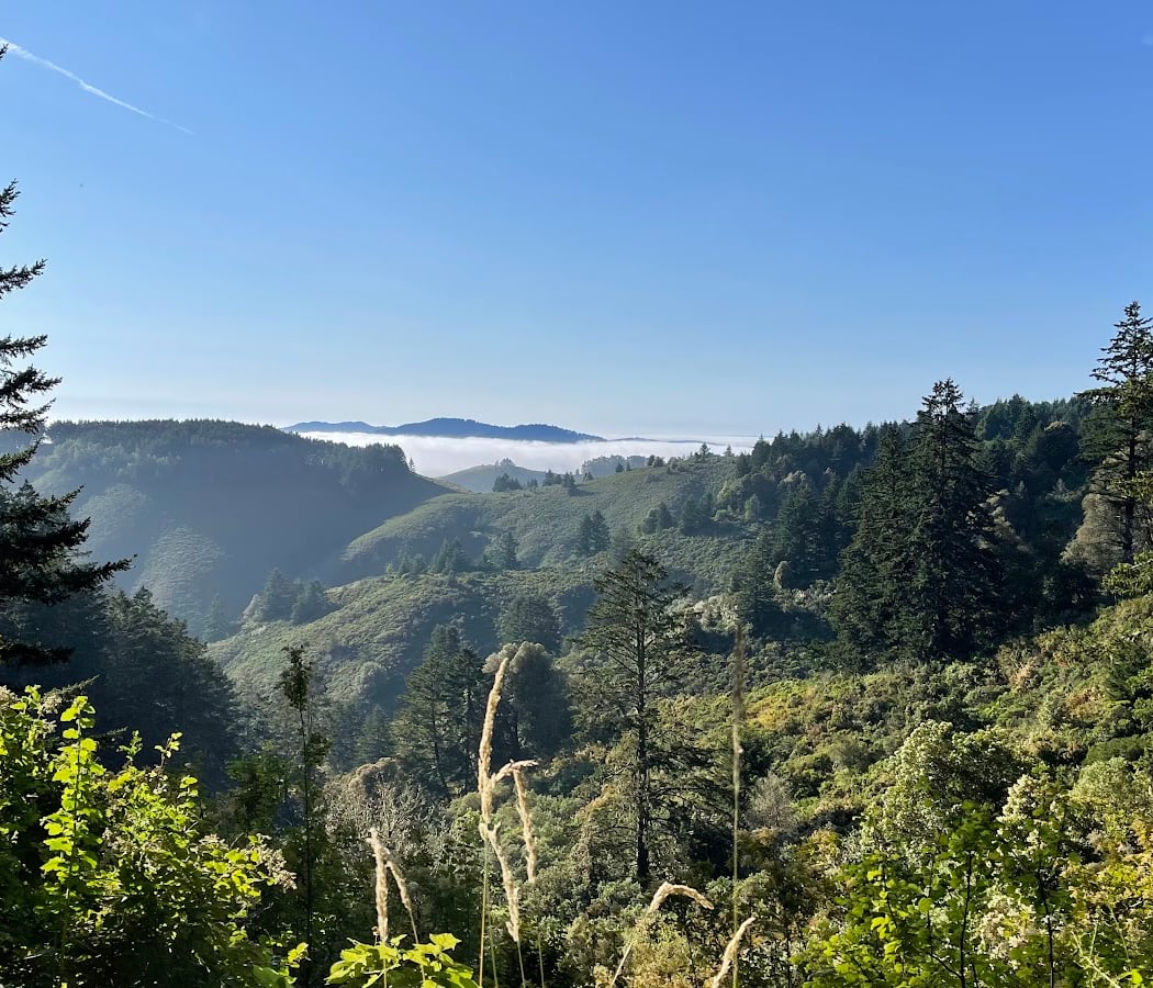 Purisima Creek Redwoods Preserve North Ridge Parking Area 1