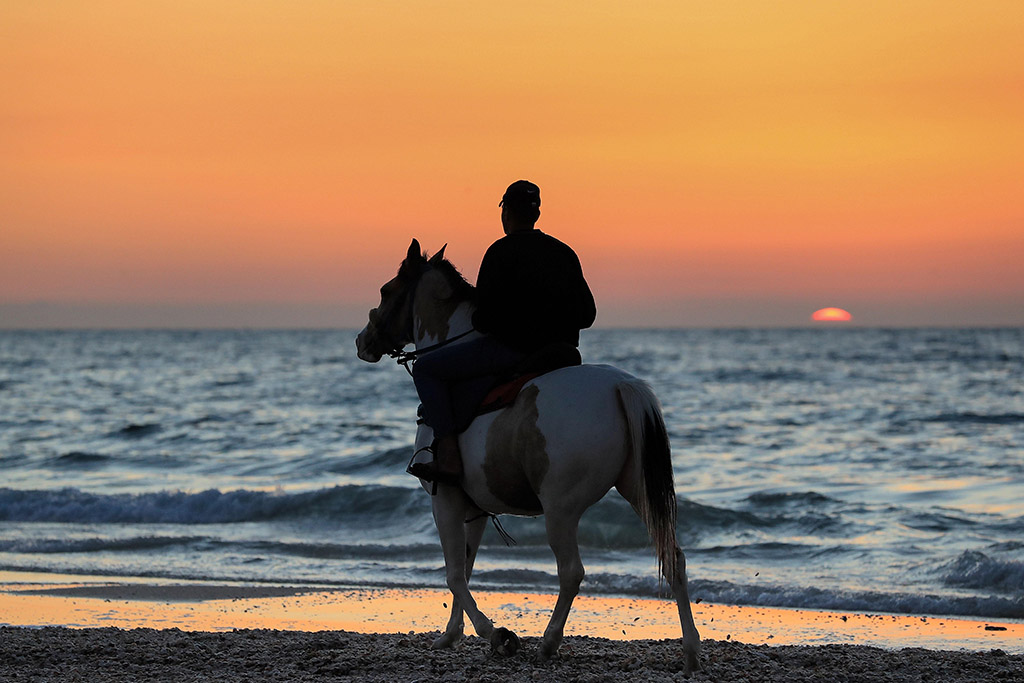 Equestrian Center De La Baule 1