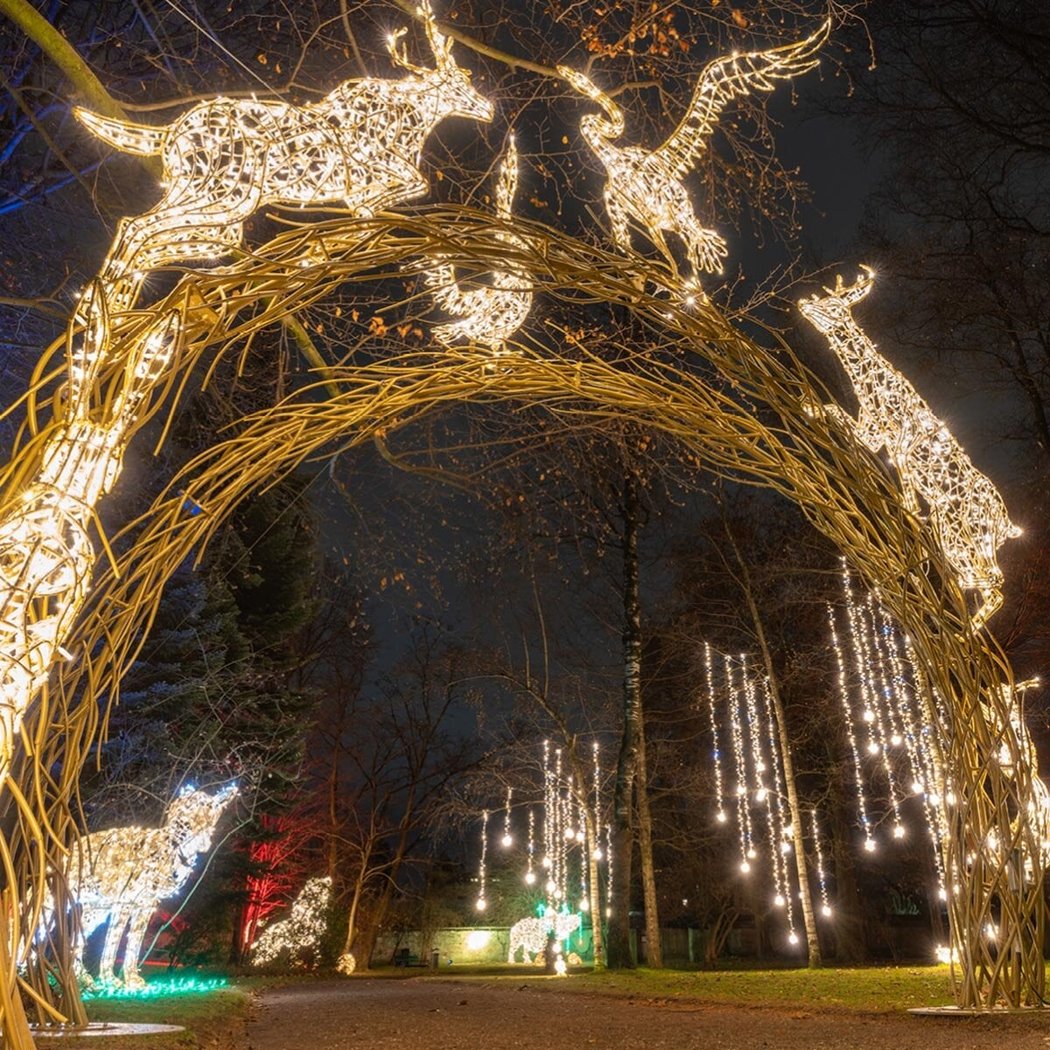LUMAGICA International Light Festival 3
