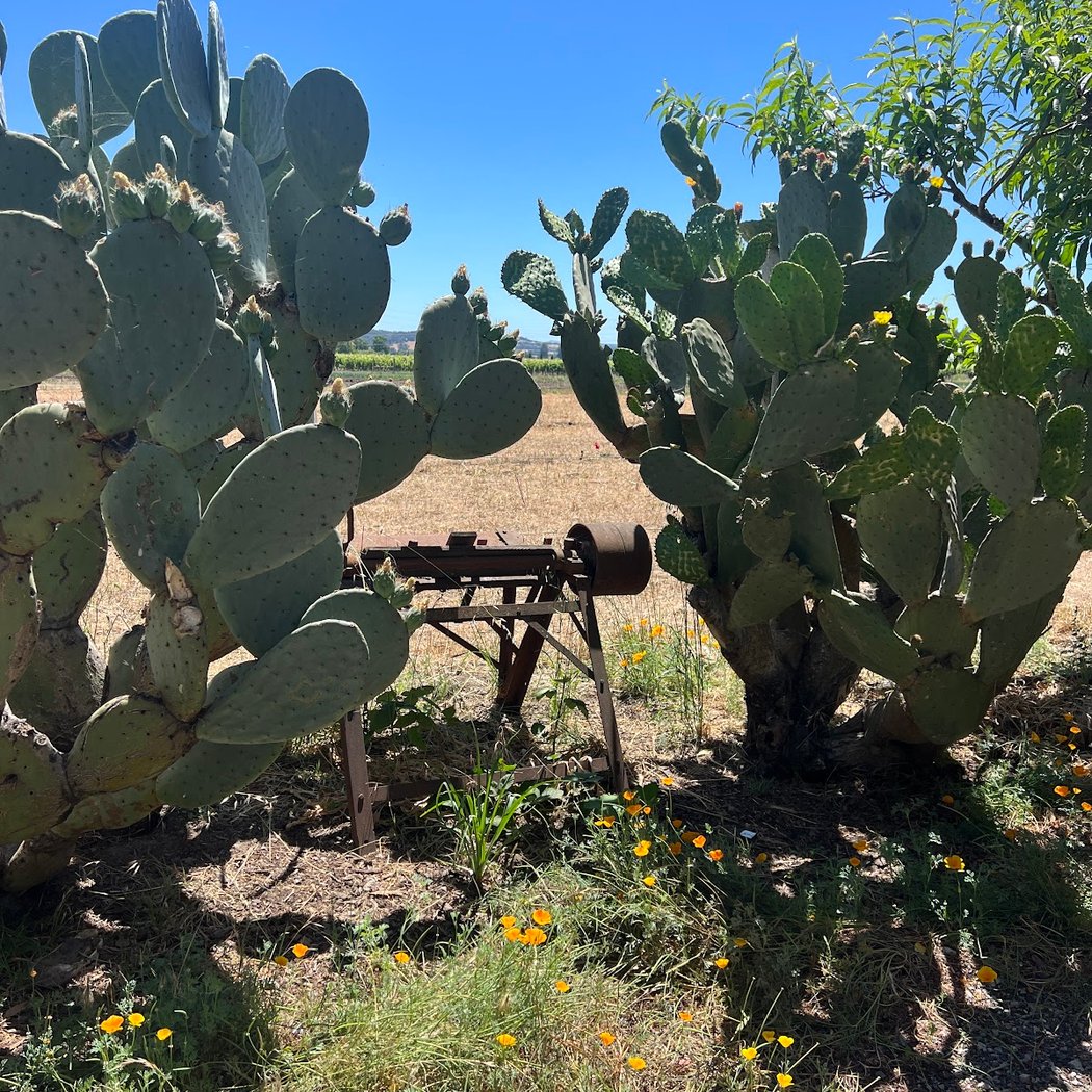 Old World Winery 2