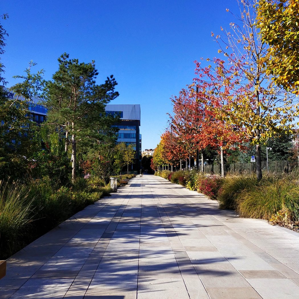 Parc et Allées Jean Jaurès 1