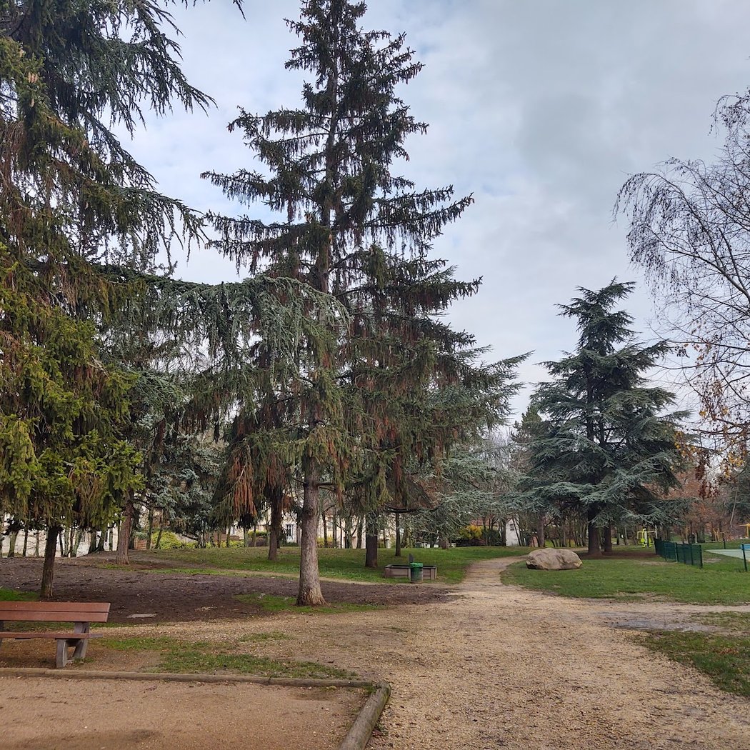 Bois Saint-Leger 2