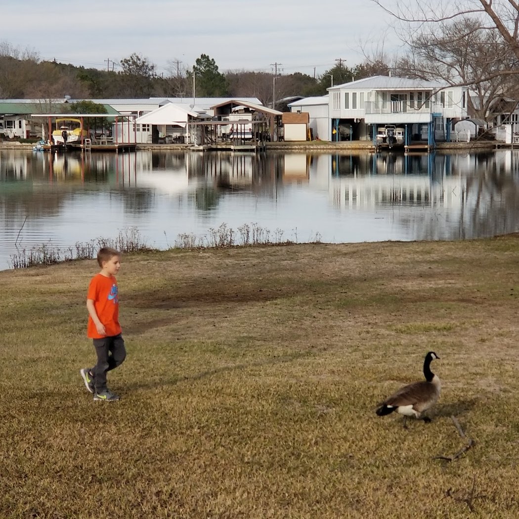 Hewlett Park 2