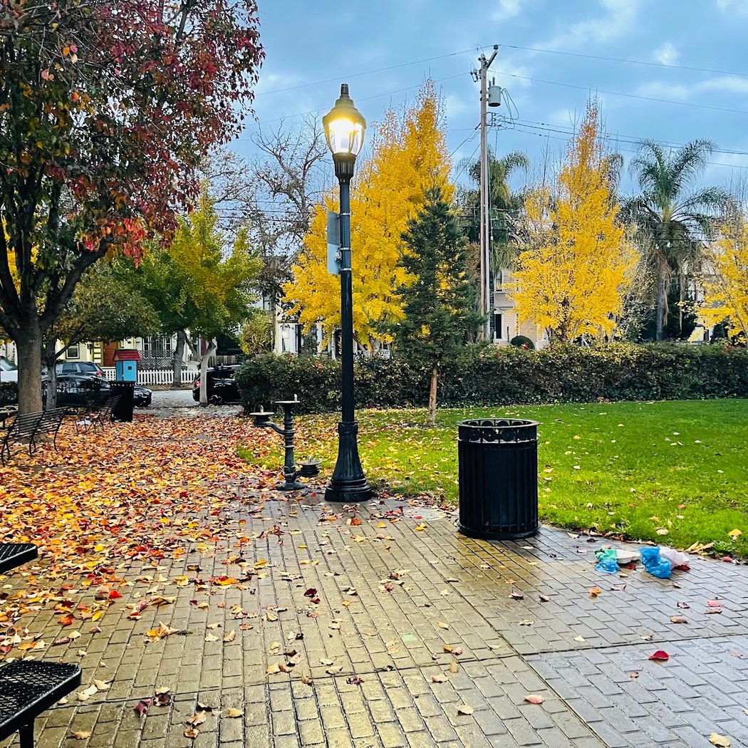 O'Donnell Garden Park 3