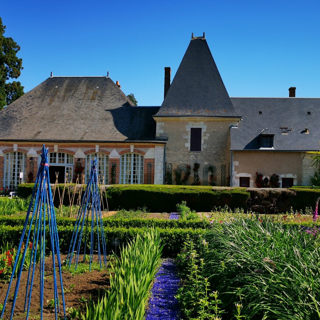 Le jardin de tulipes 1