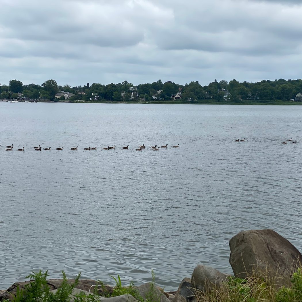 World Wetlands Day NYC Parks Stewardship 2
