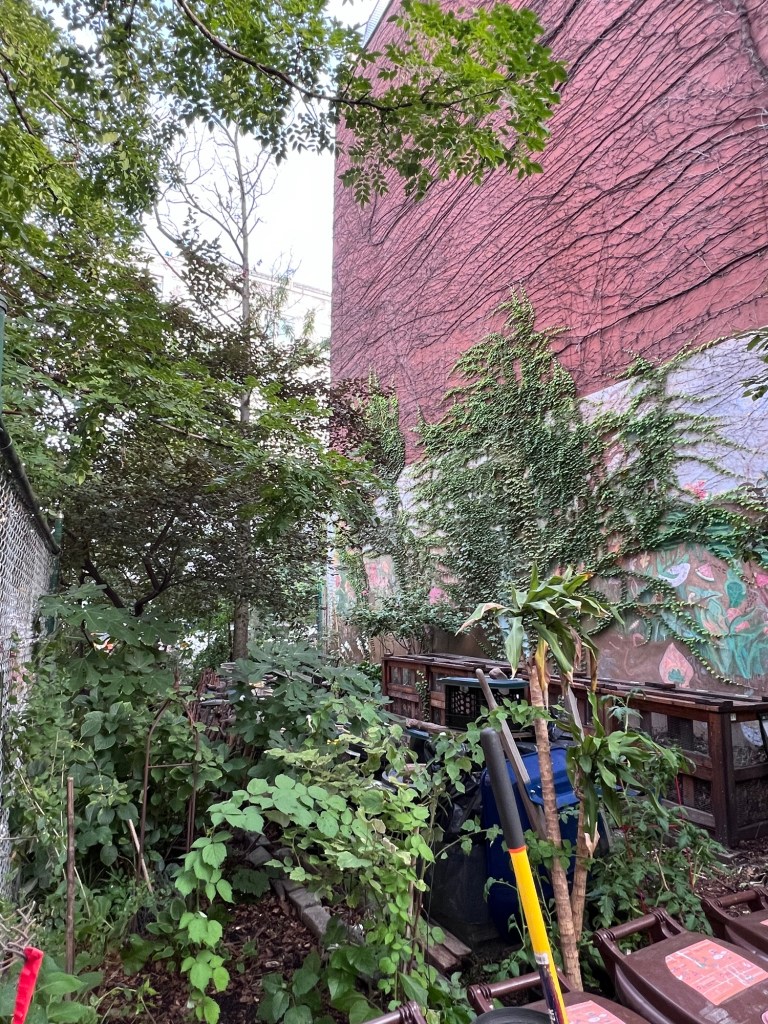 Down to Earth Garden 1