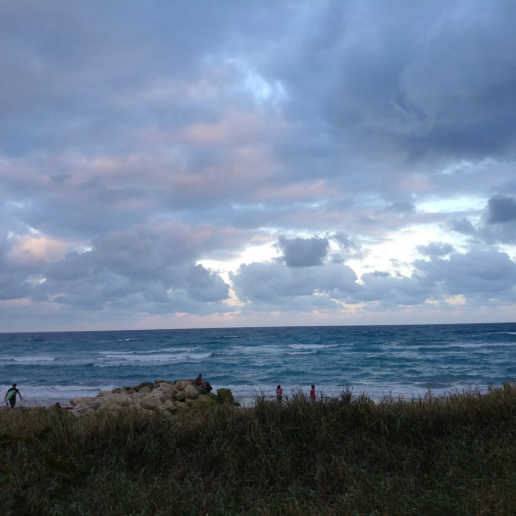 The Palm Beaches 3