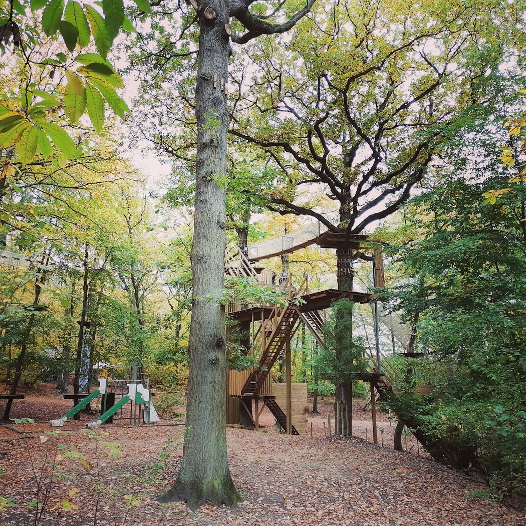 La guinguette de l’AccroCamp 1