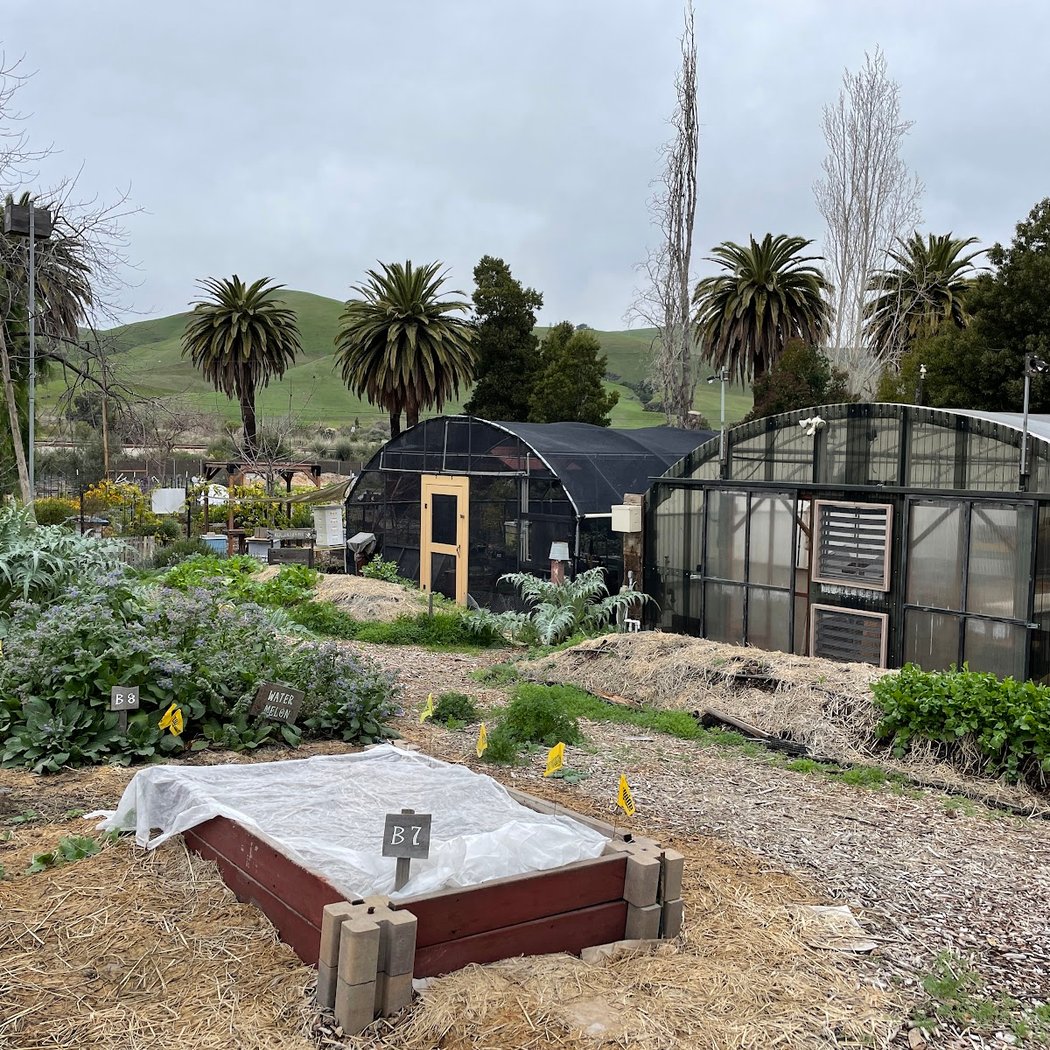 Events at Urban Gardens 3