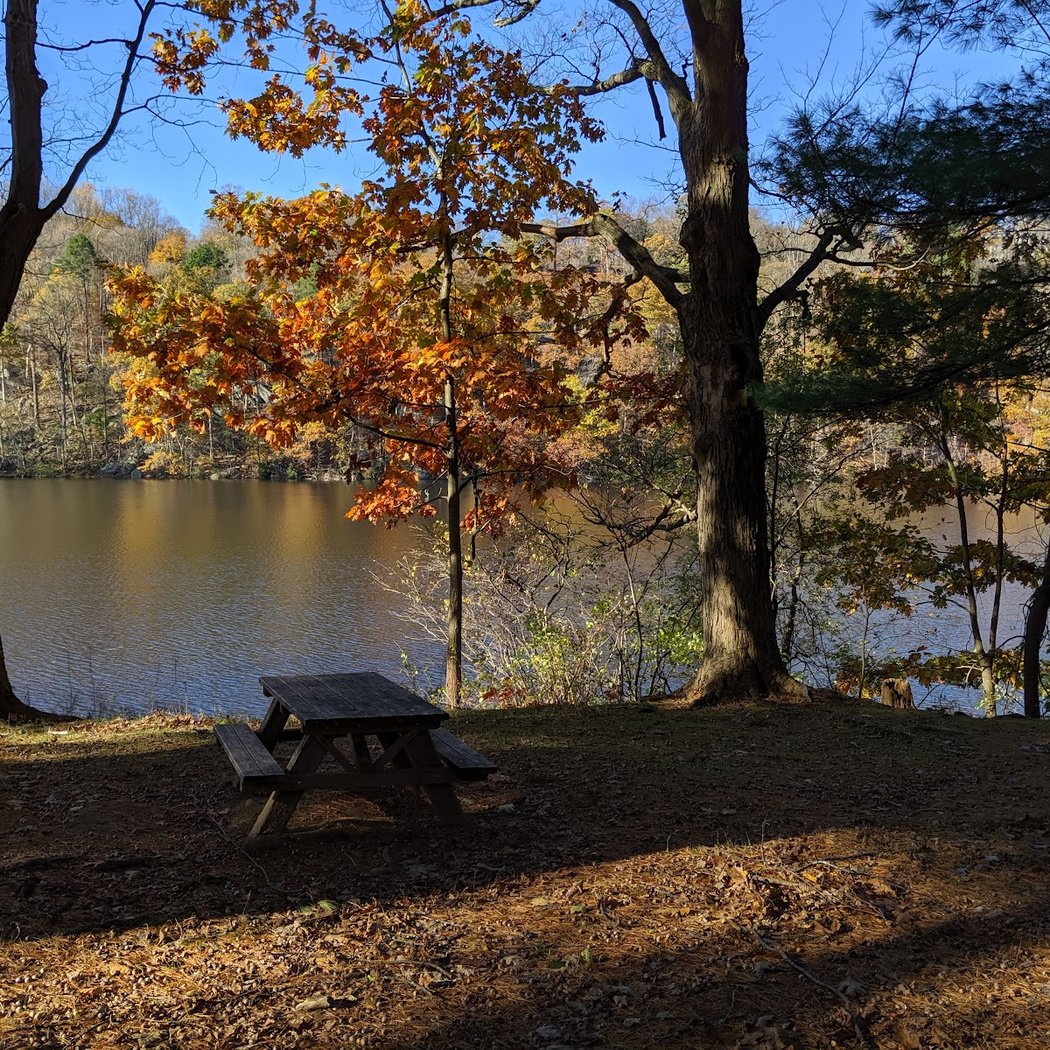 Wampus Pond Park 2