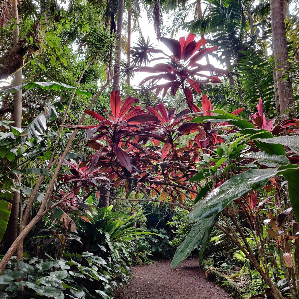 Parfums et Épices Garden 2