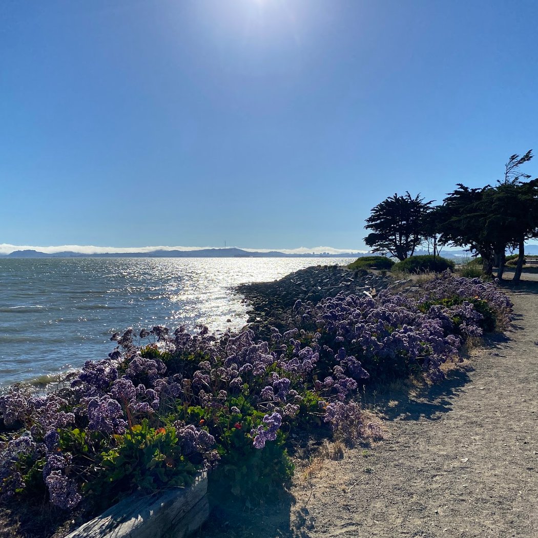 Shoreline Park 3