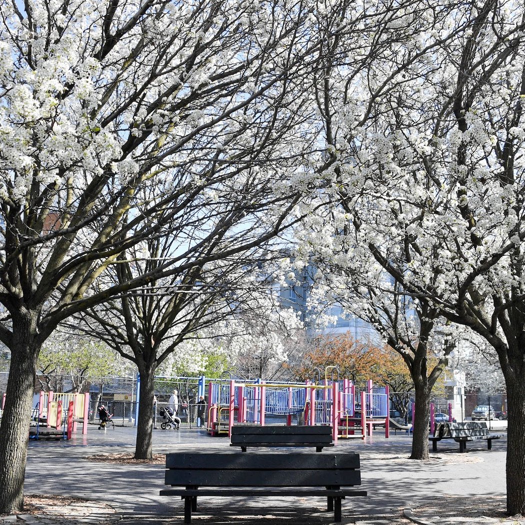 Vincent V. Abate Playground 1