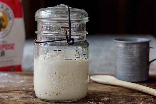 Sourdough Starter Kit 1