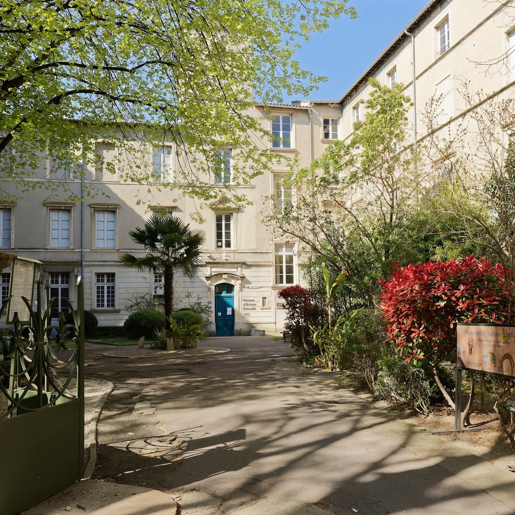Muséum d'histoire naturelle de Nîmes 2
