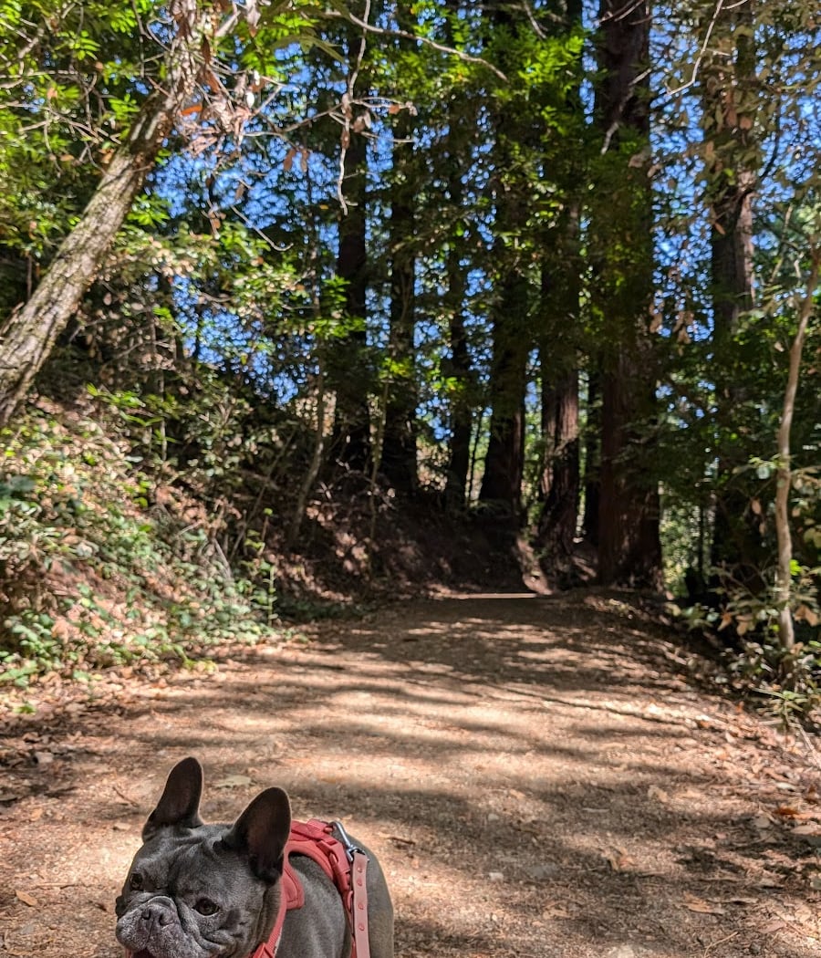 Bridle Trailhead 1