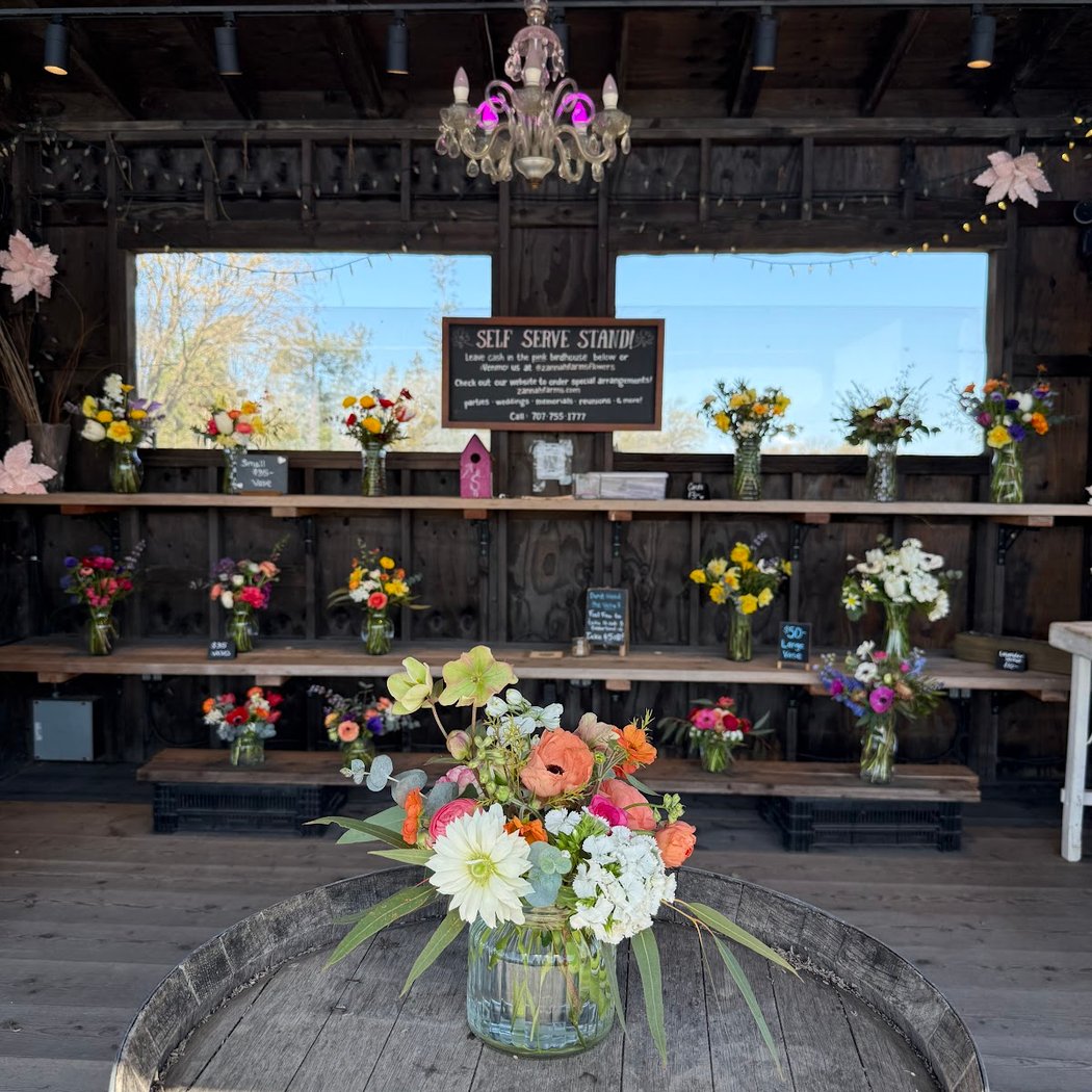 Zannah Farms 1