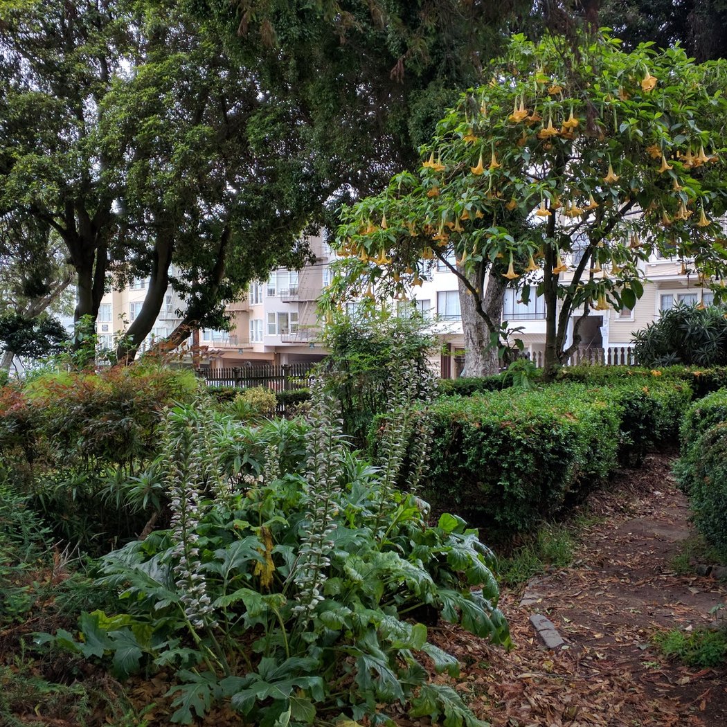 Allyne Park 3