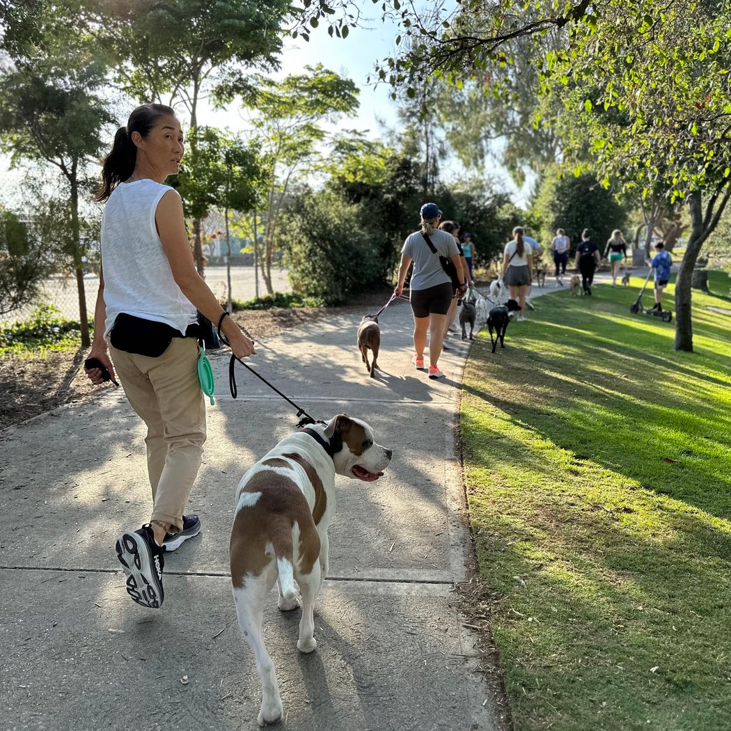 Burbank/Chandler Bike Path: Pack Walk 1